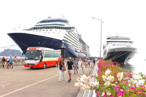 Quang Ninh recibirá 60 cruceros turísticos internacionales en 2024 - ảnh 1