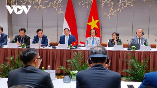 Celebran Vietnam e Indonesia diálogo empresarial de alto nivel  - ảnh 1