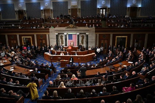 Congreso de Estados Unidos rechaza ayuda militar para Israel - ảnh 1