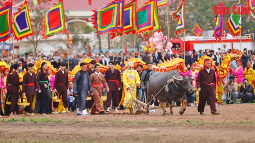 Celebran tradicional festival Tich dien 2024 - ảnh 1