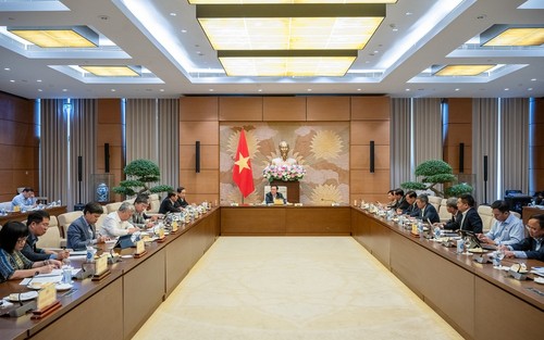 Presidente de Parlamento de Vietnam preside reunión sobre Ley de Industria de Defensa  - ảnh 1