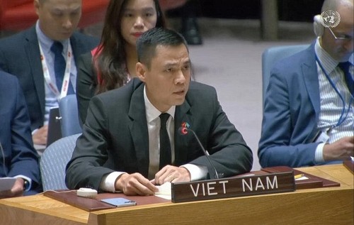Vietnam pide alto el fuego y esfuerzos para resolver crisis humanitaria en Gaza - ảnh 1