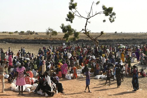  Consejo de Seguridad de las Naciones Unidas analiza la situación en Sudán - ảnh 1