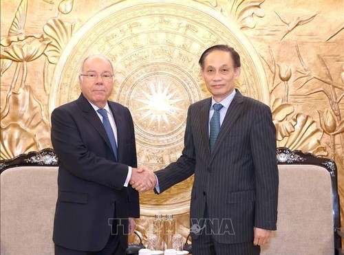 Vietnam y Brasil consolidan cooperación en relaciones exteriores - ảnh 1