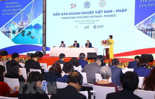 Vietnam y Francia miran hacia el futuro - ảnh 1