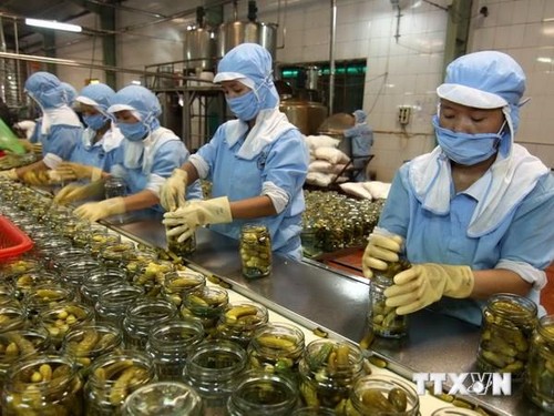Aumentan un 13,8 % exportaciones vietnamitas en la primera mitad del año - ảnh 1