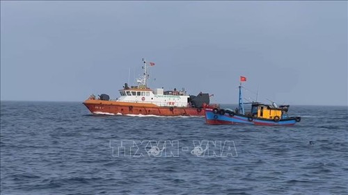 Vietnam realiza esfuerzos apropiados para prevenir actividades de pesca ilegal - ảnh 1