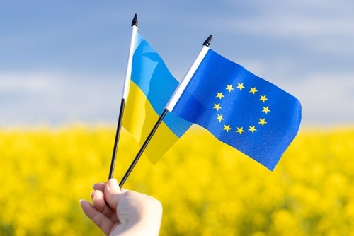 UE inicia oficialmente negociaciones de adhesión con Ucrania y Moldavia - ảnh 1