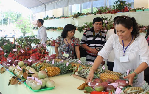 สร้างส่วนแบ่งที่มั่นคงให้แก่ผลไม้เวียดนามในตลาดโลก - ảnh 2