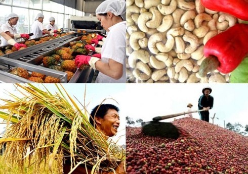 สินค้าอุตสาหกรรมและเกษตรของเวียดนามที่ส่งออกไปยังประเทศจีนค่อยๆเพิ่มขึ้น - ảnh 1