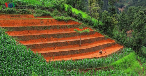 หมู่กางฉาย-หนึ่งในสถานที่ท่องเที่ยวที่สวยที่สุดในโลก