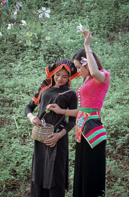 ผ้า Pieu หรือผ้าโพกหัวเพียวในชีวิตของชนเผ่าไท - ảnh 2