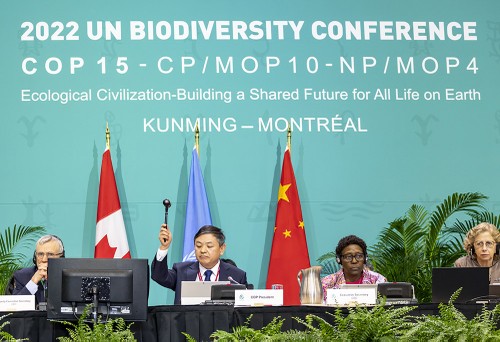 ข้อตกลงคุนหมิง-มอนทรีออล ปกป้องความหลากหลายทางชีวภาพทั่วโลก - ảnh 1
