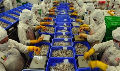 Aquatic exports may exceed 6.5 billion USD in 2013 - ảnh 1