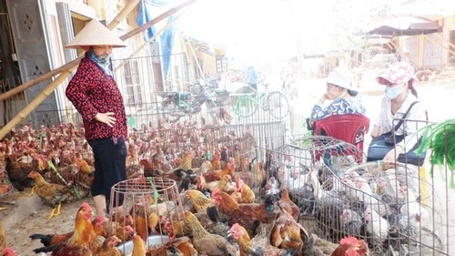 Vietnam to take measures against H7N9 avian influenza - ảnh 1