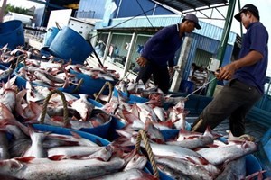 Vietnam, Japan embrace farming, fishery cooperation - ảnh 1