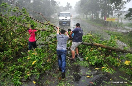 Overcoming typhoon Rammasun’s aftermaths - ảnh 1
