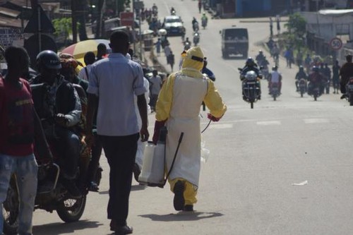 West African nations urged to control Ebola virus at border crossings - ảnh 1
