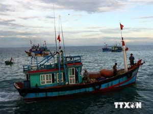ASEAN hotline on maritime dispute debated - ảnh 1