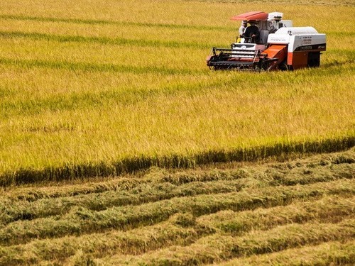   RoK shares experience in agricultural mechanisation with Vietnam - ảnh 1