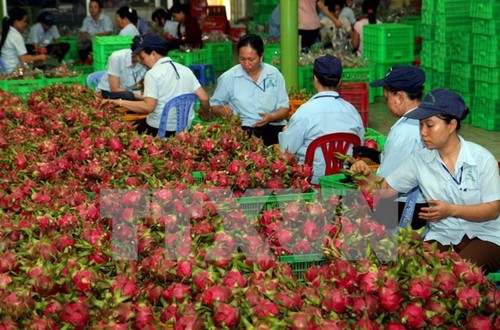 Vietnam, Germany boost agricultural cooperation - ảnh 1