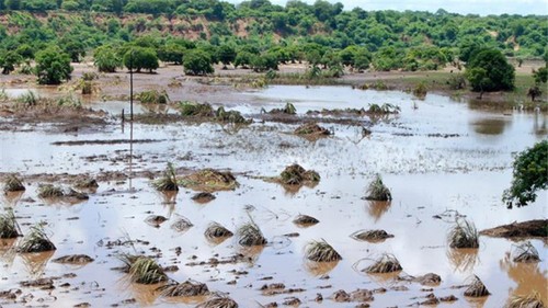 Vietnam donates 200,000 USD to Mozambican flood victims - ảnh 1