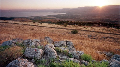 UN Security Council rejects Israel’s claim to Golan Heights - ảnh 1