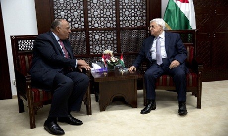 Egypt: Palestinian issues remain top priority - ảnh 1