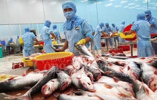 Tra fish exports eye 2.4 billion USD in 2019 - ảnh 1