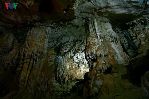 A visit to Ang village and Doi cave in Moc Chau, Son La - ảnh 8