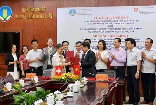 Switzerland helps Vietnam apply remote-sensing technology in rice production - ảnh 1