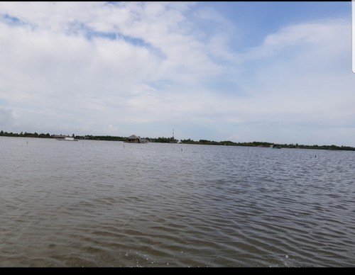 Thi Tuong lagoon – a major tourist attraction in Ca Mau province - ảnh 1