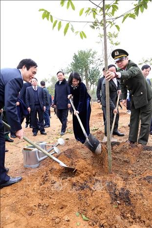 Vietnam launches tree-planting festival  - ảnh 1