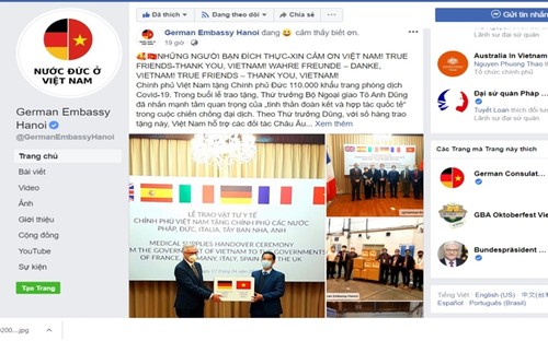 European media appreciate Vietnam’s donation of face masks to fight Covid-19 - ảnh 1
