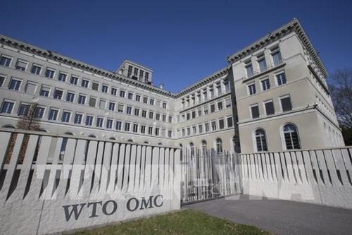 WTO sees global trade down 13% due to pandemic - ảnh 1