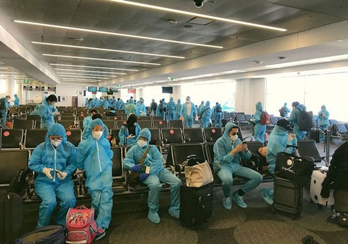 Vietnamese citizens repatriated from Japan - ảnh 1