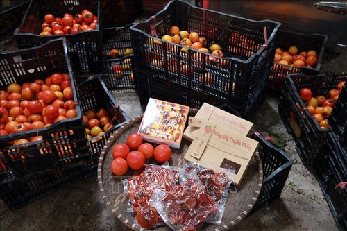 Persimmons – a specialty of Da Lat in Vietnam’s Central Highlands - ảnh 2