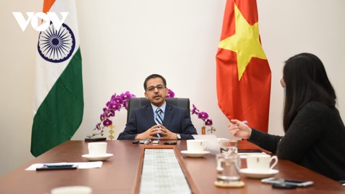 Vietnam, India cooperate in heritage conservation - ảnh 1