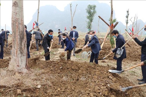 Vietnam launches tree planting festival to support 1 billion tree program - ảnh 1