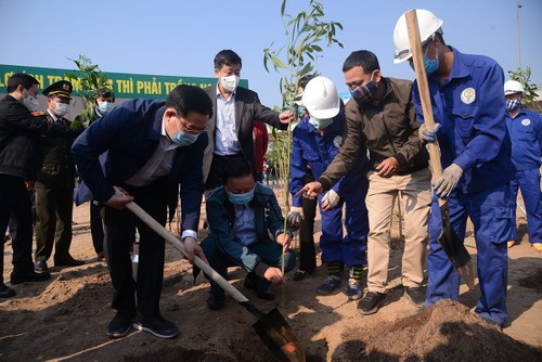 Vietnam creates digital map to manage trees - ảnh 1