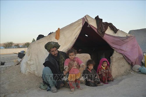 UNICEF wants 2 billion USD for Afghanistan - ảnh 1