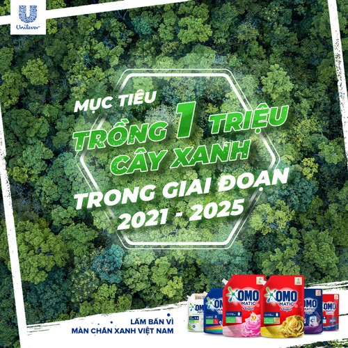OMO’s campaign to plant additional one million green trees in Vietnam by 2025 - ảnh 2