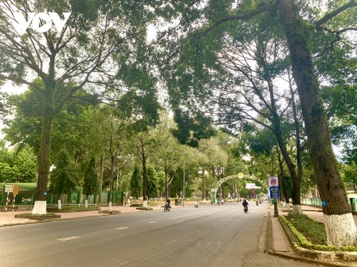 Buon Ma Thuot – a green city in the Central Highlands - ảnh 2