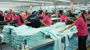 Vietnam will Unternehmen weiter unterstützen - ảnh 1