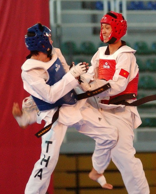Vietnam nimmt an Taekwondo-German Open in Hamburg teil - ảnh 1