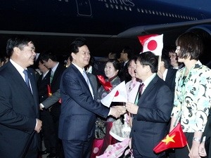 Verstärkung der Kooperation zwischen Japan und den Mekong-Ländern - ảnh 1