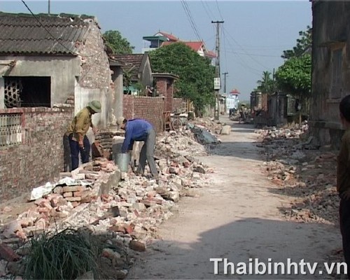Pilotprojekt zum Ausbau ländlicher Gebiete in der Gemeinde Quynh Minh  - ảnh 1