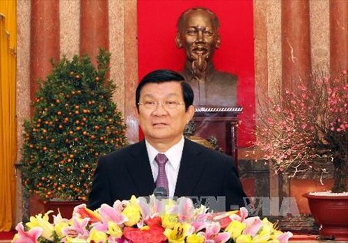 Glückwünsche vom Staatspräsident Truong Tan Sang zum Neujahr  - ảnh 1