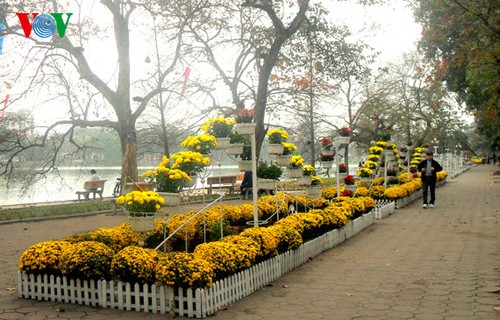 Frühlingsstimmung: Bunte Blumen rund um den Hoan Kiem-See - ảnh 10