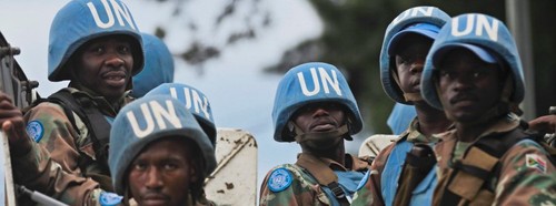 Verabschiedung einer Resolution zum Militäreinsatz im Kongo - ảnh 1